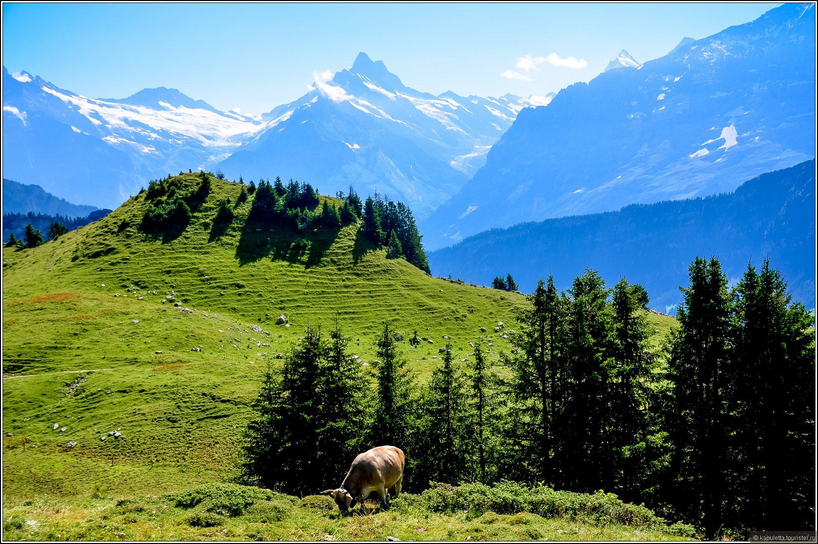 Schynige Platte (Wilderswil)